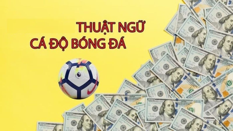 Thuật ngữ cá độ bóng đá phổ biến