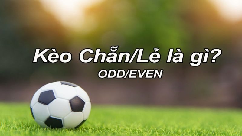 Kèo chẵn lẻ (Odd/Even) đơn giản, dễ trúng